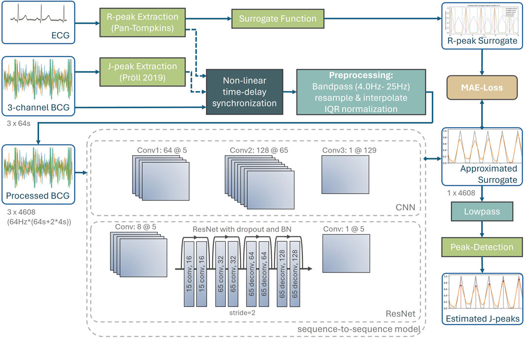Surrogate modelling of heartbeat events for improved J-peak detection in BCG using deep learning